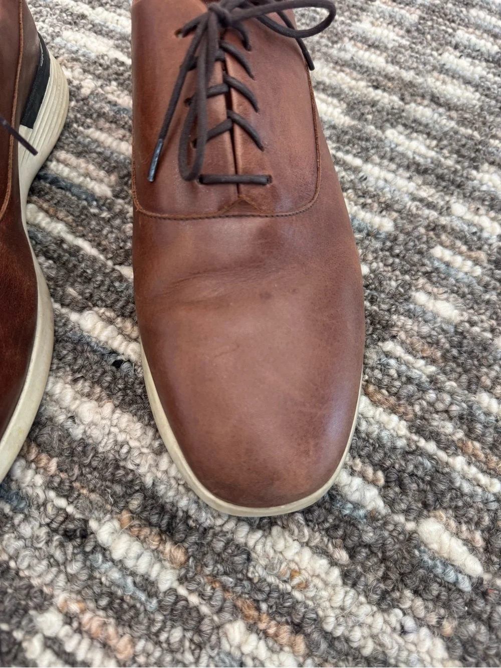 Wolf & Shepherd Crossover Men's Shoe 9.5